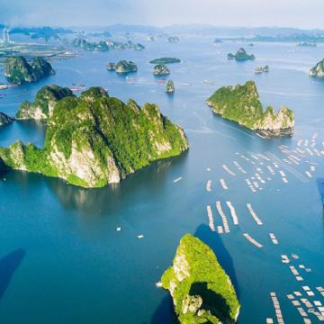 Hành Trình Ẩm Thực Quảng Ninh: Khám Phá Đặc Sản Theo Vùng Miền Hành Trình Ẩm Thực Quảng Ninh: Khám Phá Đặc Sản Theo Vùng Miền