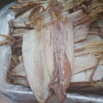 Bảng Giá Mực Khô Hiện Nay Bao Tiền 1kg? Tại Sao Lại Có Sự Chênh Lệch Giá? Bảng Giá Mực Khô Hiện Nay Bao Tiền 1kg? Tại Sao Lại Có Sự Chênh Lệch Giá?