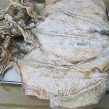 MỰC KHÔ MỐC CÓ ĂN ĐƯỢC KHÔNG? CÁCH XỬ LÝ VÀ BẢO QUẢN CHUẨN 100% MỰC KHÔ MỐC CÓ ĂN ĐƯỢC KHÔNG? CÁCH XỬ LÝ VÀ BẢO QUẢN CHUẨN 100%