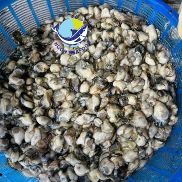 Hà Sú Quảng Ninh - Tinh Hoa Ẩm Thực Biển Khơi Hà Sú Quảng Ninh - Tinh Hoa Ẩm Thực Biển Khơi