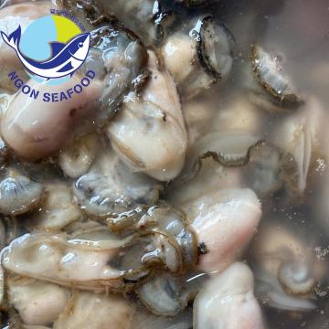 Hà Sú Quảng Ninh - Tại Sao Giới Sành Ăn Lại Hà Sú Quảng Ninh - Tại Sao Giới Sành Ăn Lại