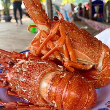 Top 17 Đặc Sản Phú Yên Làm Quà Và Món Ngon 