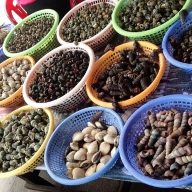 Bí Quyết Thưởng Thức Hải Sản Hạ Long: Top Địa Điểm Ngon Bổ Rẻ Từ Dân Bản Địa