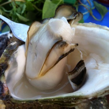 Khám phá Phố Hải Sản Bến Đoan: Thiên Đường Ẩm Thực Ven Biển Hạ Long